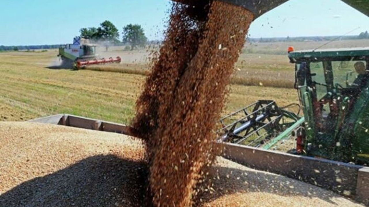 Buğday çiftçisi için 2019 kolay bir yıl olmayacak!