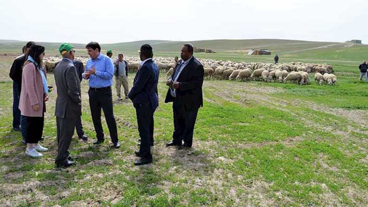 Cibuti heyeti TİGEM’in işletmesini ziyaret etti