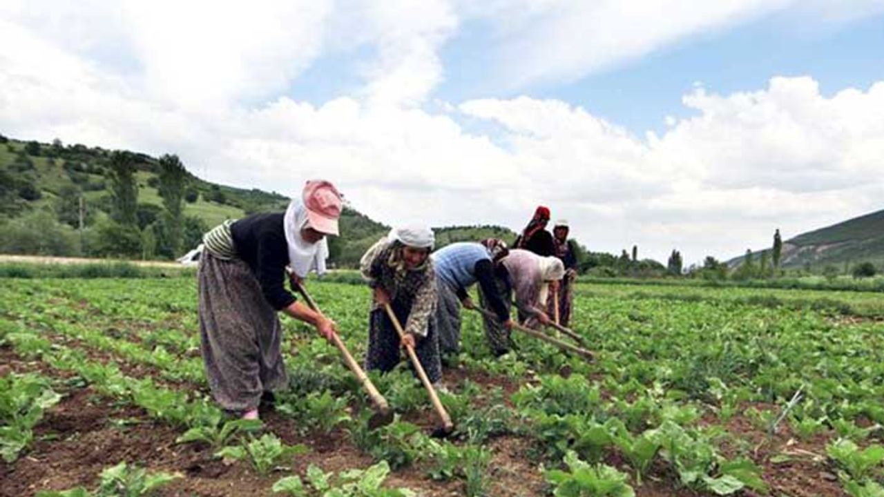 Küçük aile işletmeleri desteği ve düşük faizli kredilerin detayları