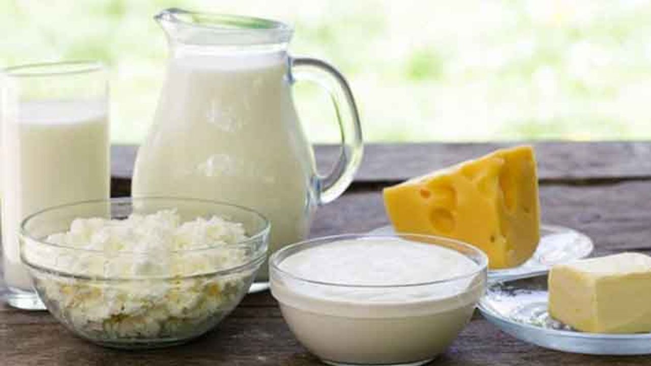 Süt ve Süt Ürünleri Hakkında Genel Bilgiler
