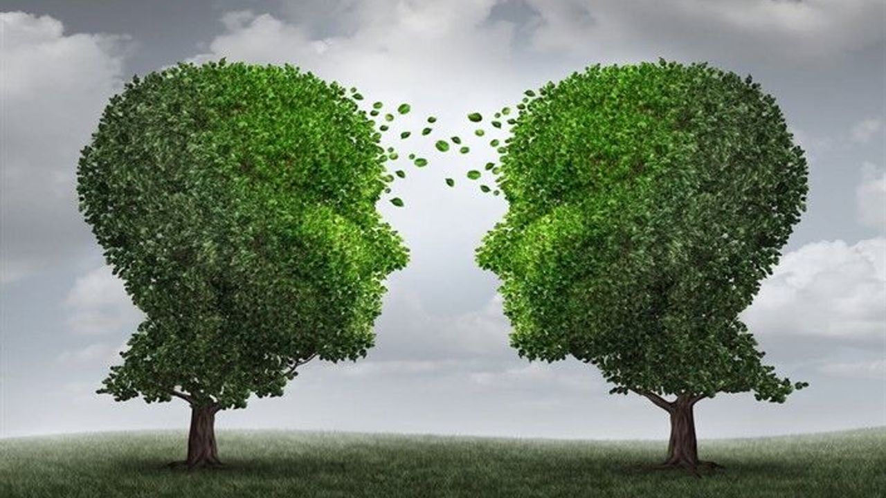 Bilim insanları açıkladı ağaçlar gizlice konuşuyor!