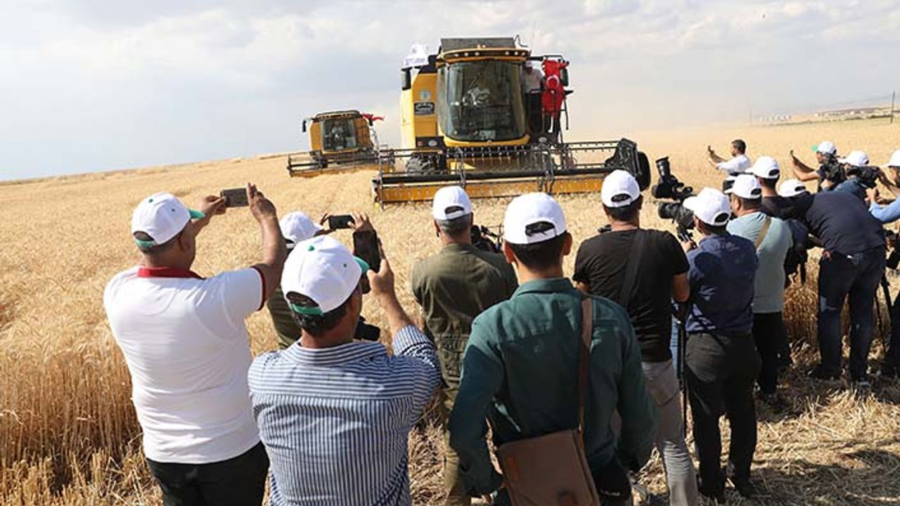 Diyarbakır'da 1.5 milyon ton buğday hasadı bekleniyor