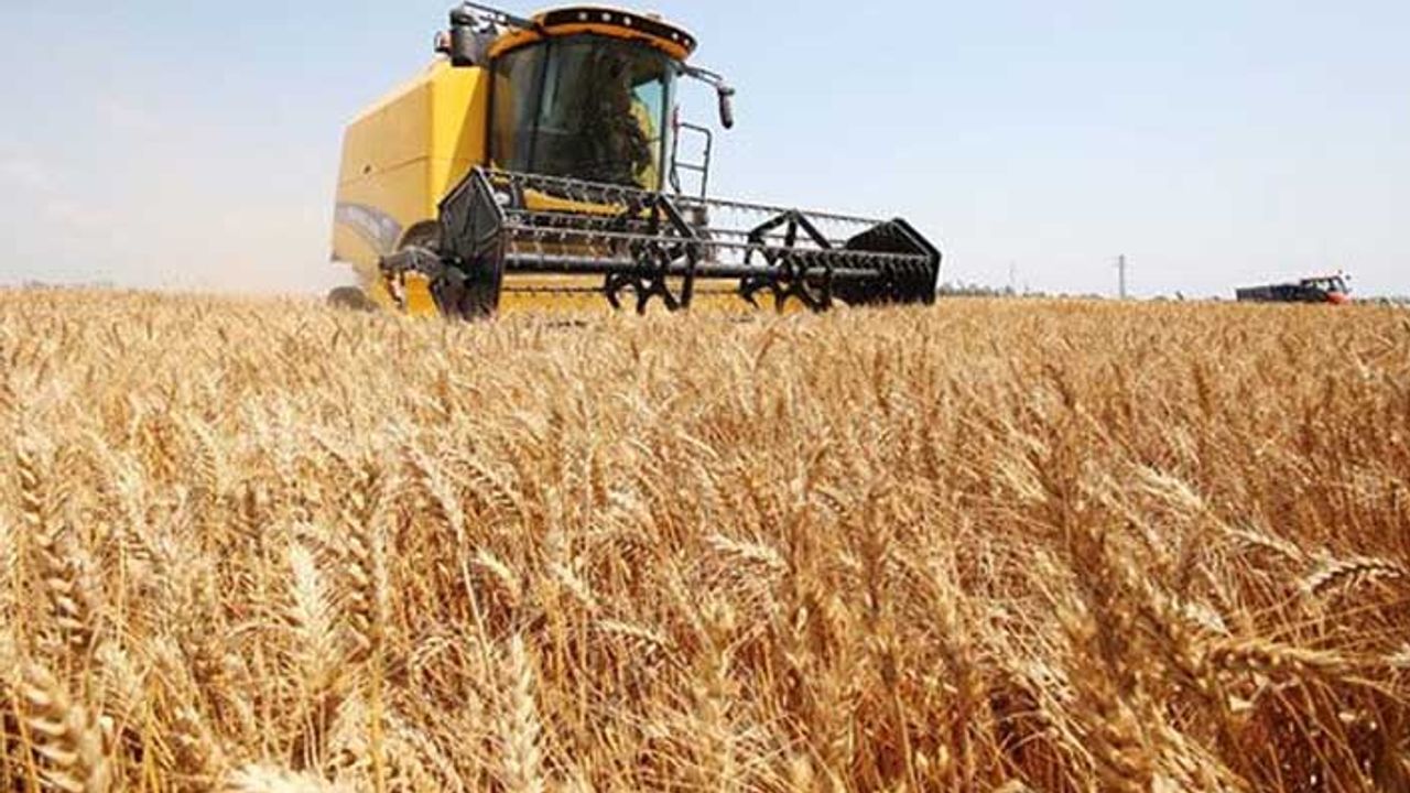 Tarım Bakanlığından ithal buğday açıklaması
