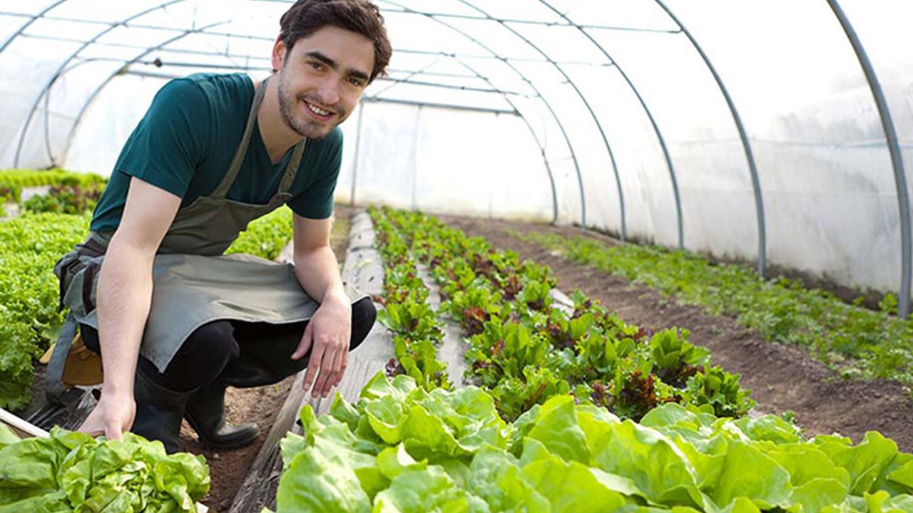 Genç çiftçinin yerine 'Uzman Eller' geldi! Üniversite mezununa 100 bin lira destek!