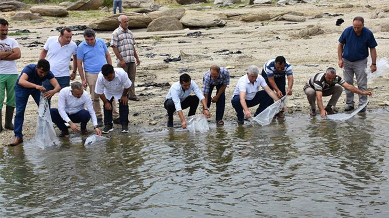 Manisa’da 100 bin balık göletlere bırakıldı