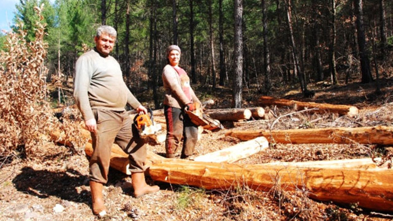 Geçici orman işçilerinin çalışma süresi 4 ay uzatıldı