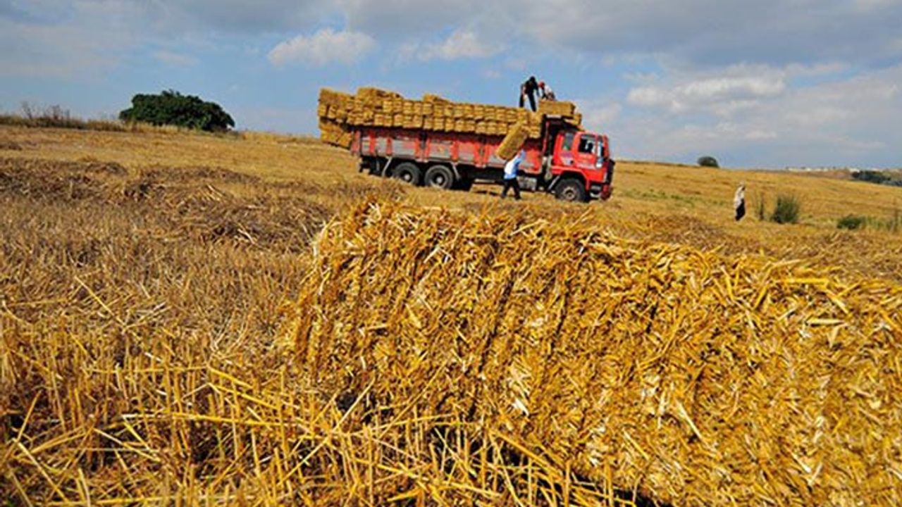 Tarım Bakanlığı açıkladı: Türkiye saman ihraç ediyor!