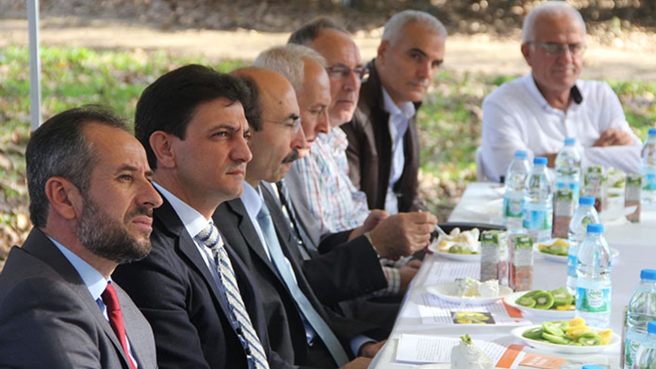 Bal arısı kivi bahçelerinde verimi artırıyor