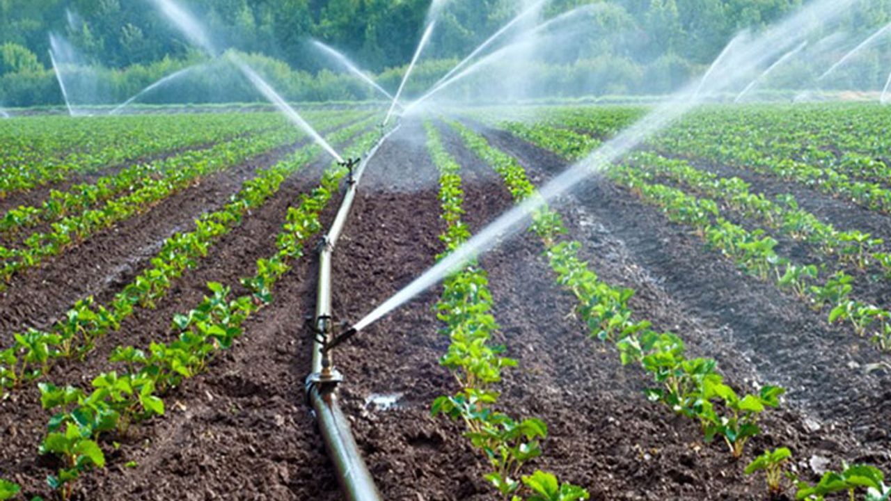 DSİ açıkladı: Bilecik’te 23 bin dekar tarım arazisi sulandı