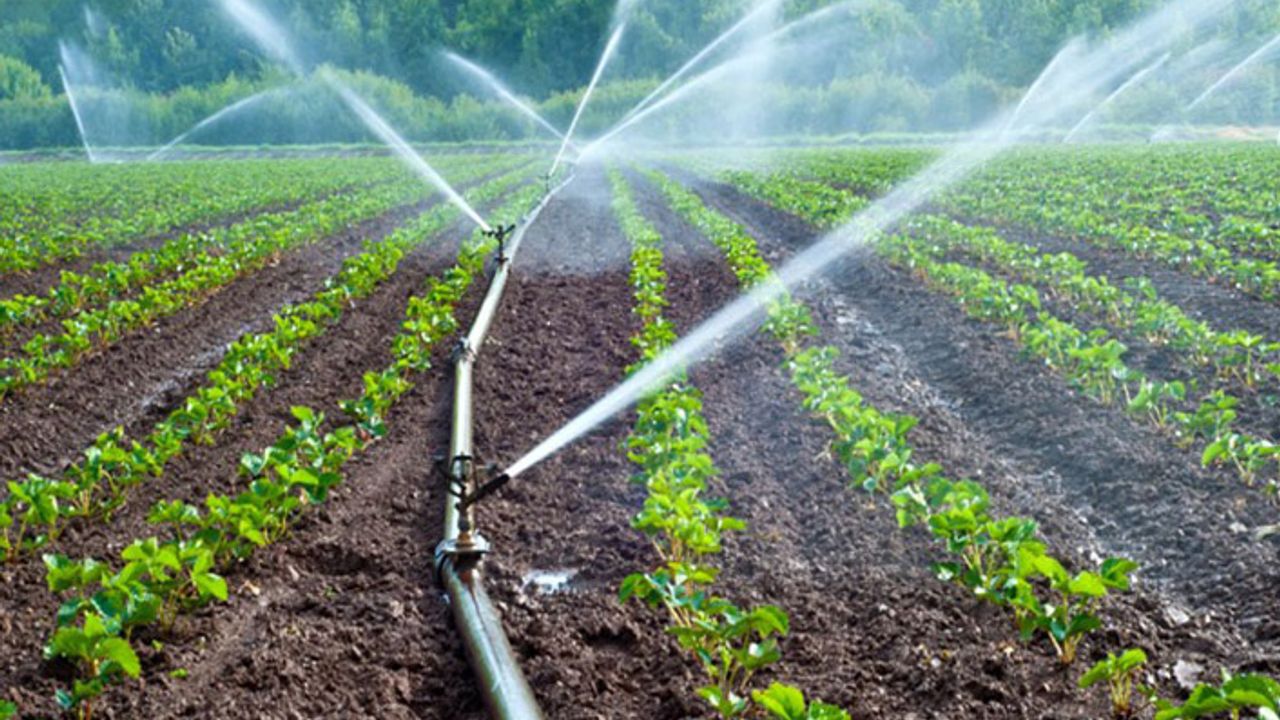 DSİ: Çanakkale’de 265 bin dekar arazi sulandı