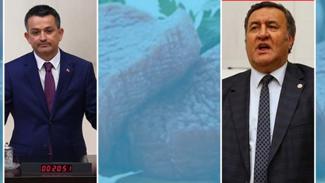 Meclis’te et tartışması: Pakdemirli 1 kilo bile ithal etmedim!