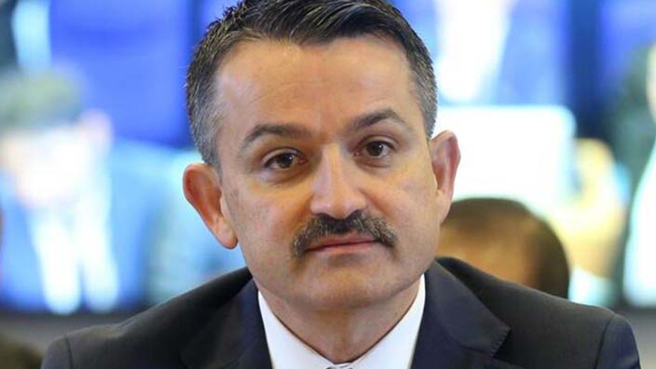 Bakandan dikkat çeken tohum açıklaması: Mısır, ayçiçeği, pancarı kim üretiyor?