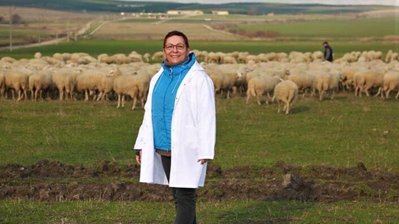 Genel Müdür Anadolu Tarım İşletmesinde incelemelerde bulundu