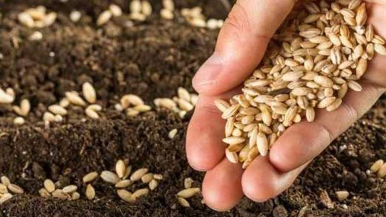Bekir Pakdemirli: Tohum ihracat ve ithalat rakamları