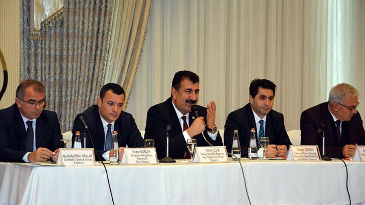 Diyarbakır'da küçükbaş hayvancılığı güçlendirme eylem planı