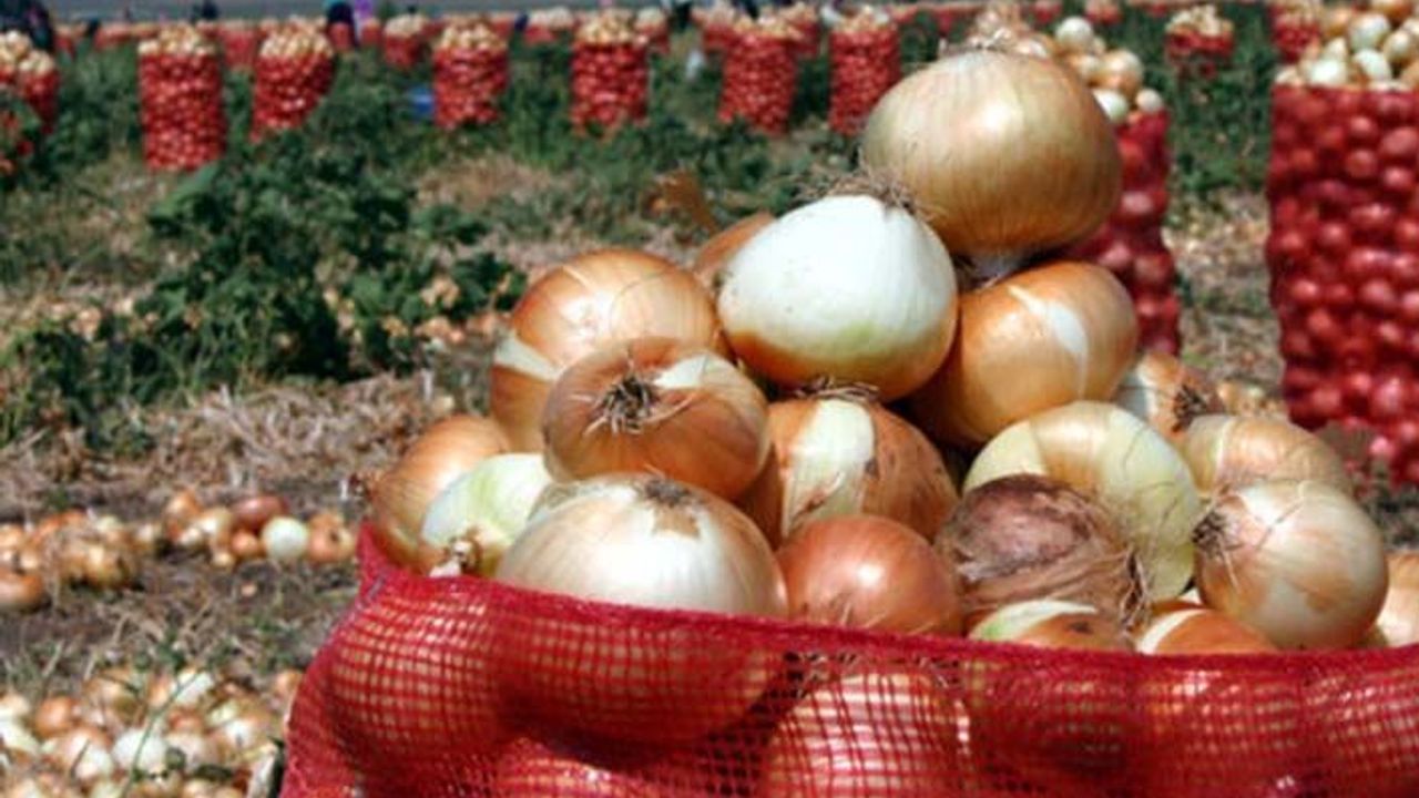 Soğan ihracatı yasaklandı mı?  Bakan Pakdemirli'ye kapsamlı soğan sorusu