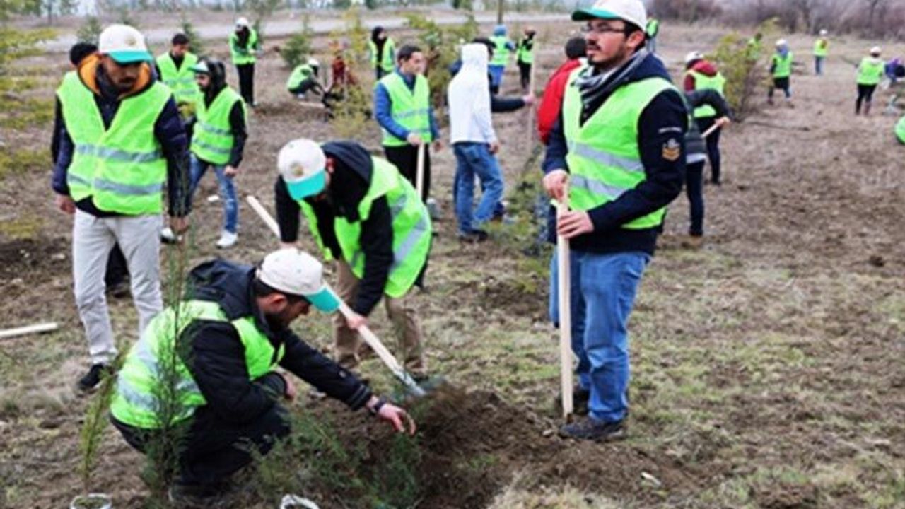 Tarım Bakanlığından fidan açıklaması: Yüzde 95'i tuttu