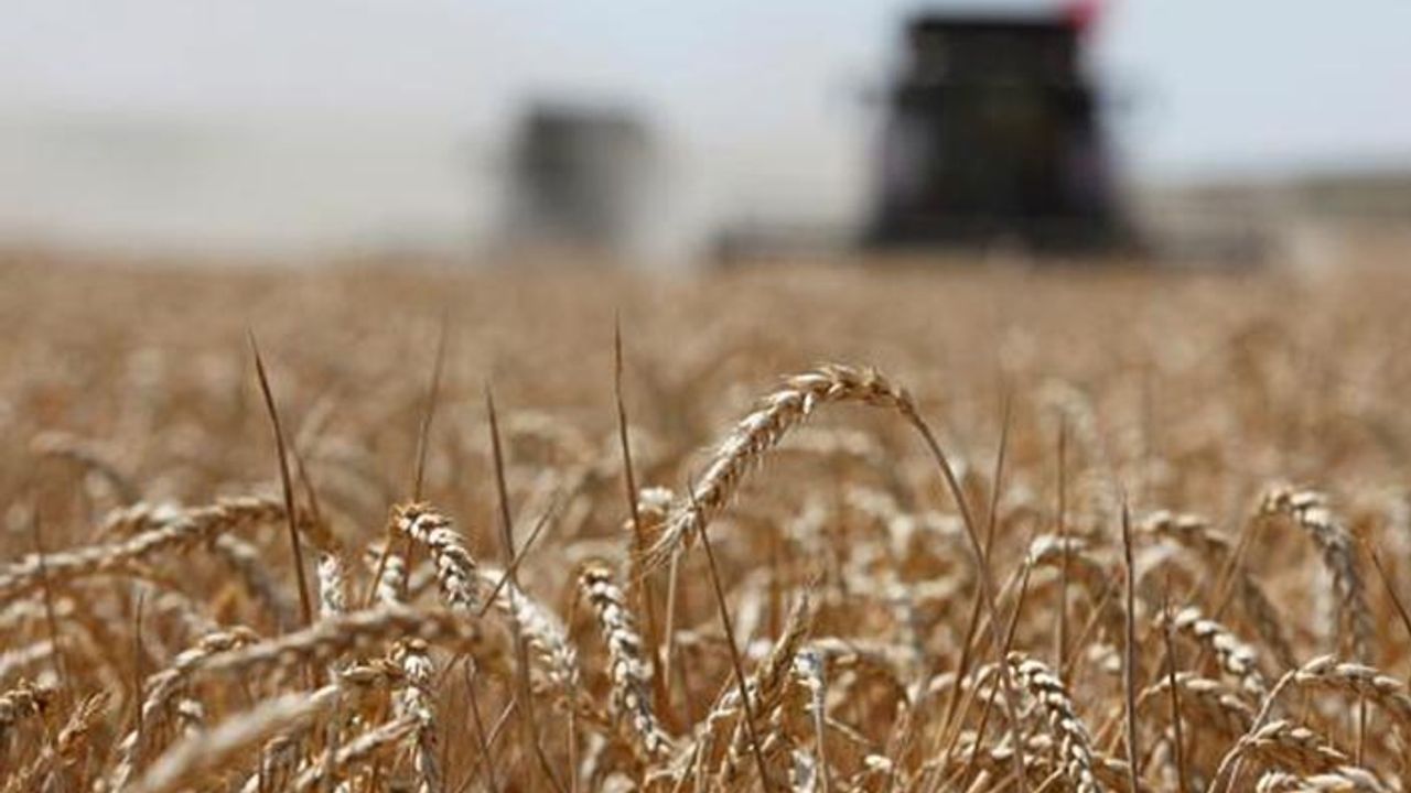 Diyarbakır'da çiftçiye 204 milyon lira destek ödemesi yapılacak