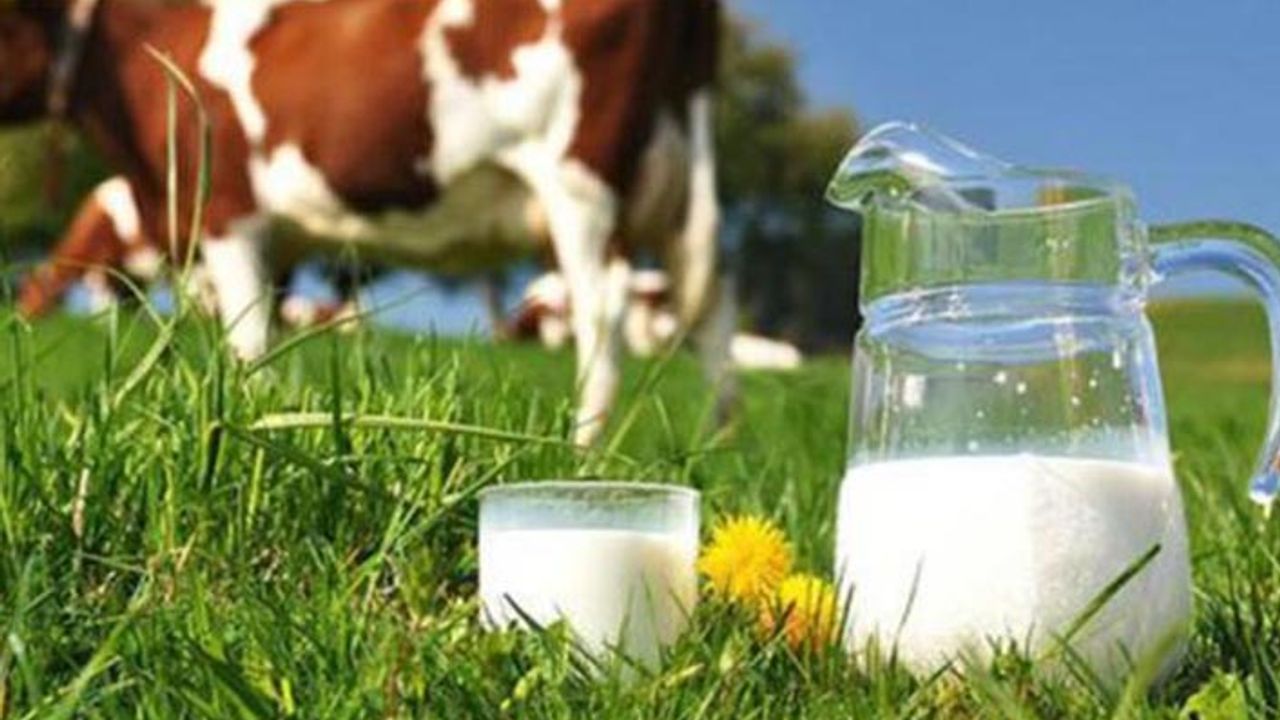 TÜİK'e göre Ocak ayında inek sütü yüzde 8.9 arttı!