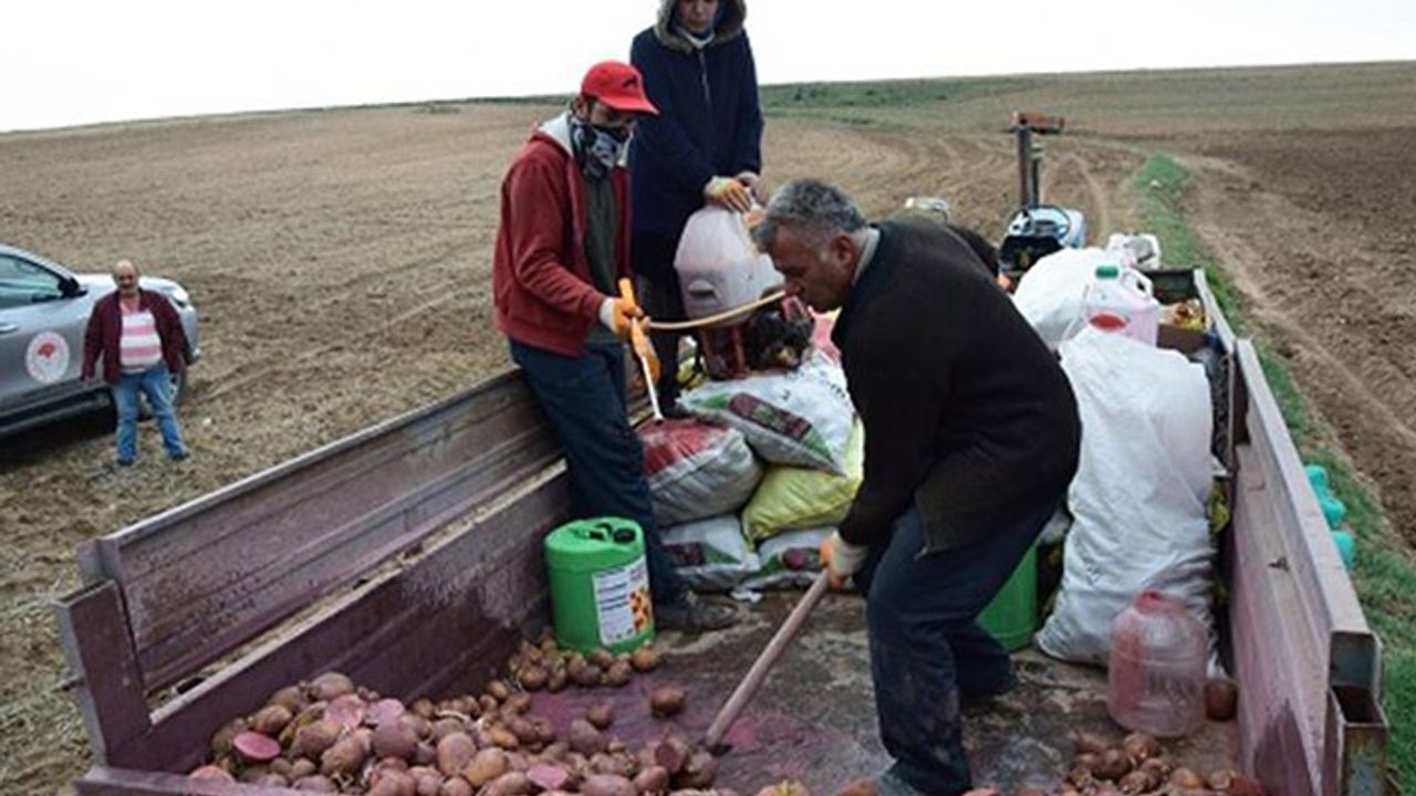 Yozgat’ta patates deneme ekimi yapıldı