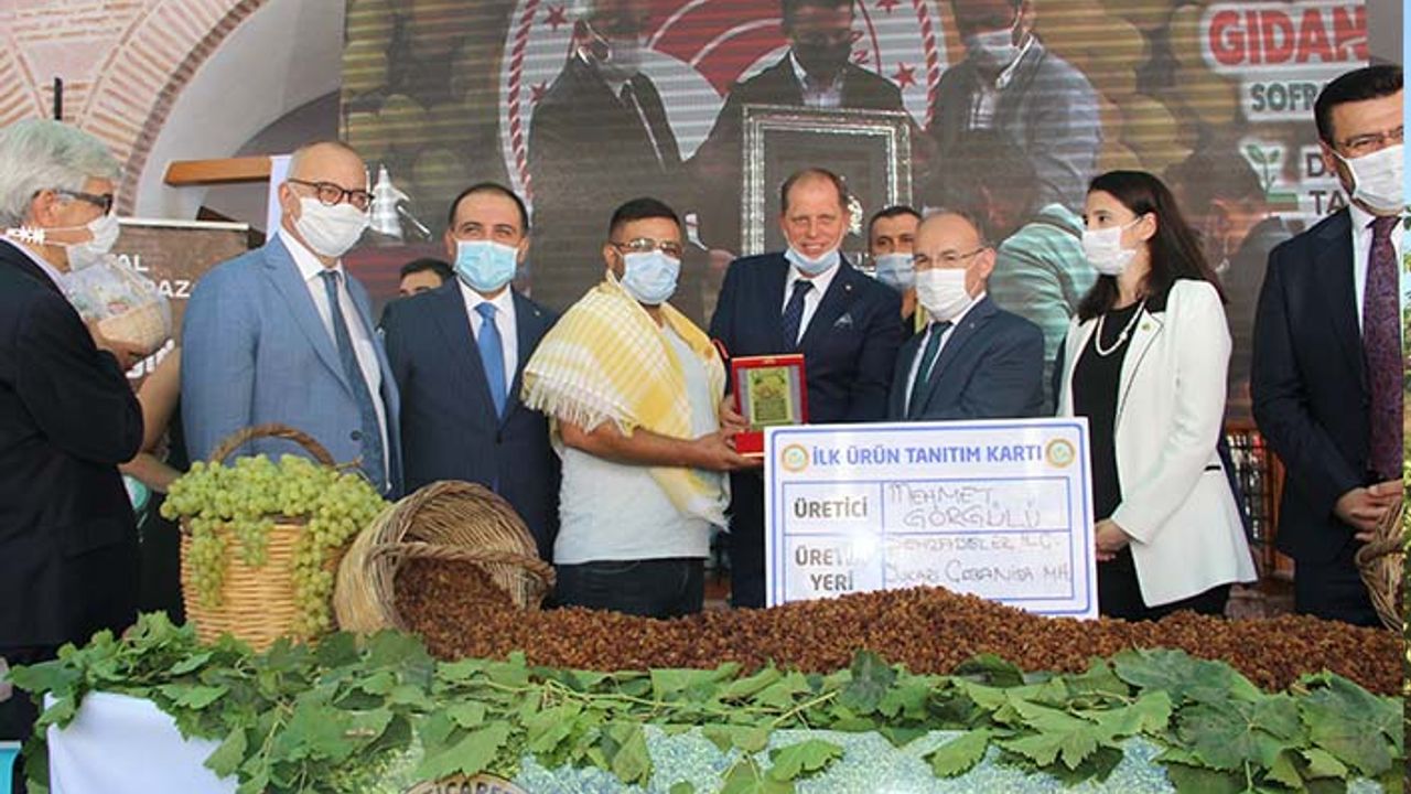 Üzüm ihracatında Türkiye'nin hedefi: Kuruda 500, tazede 180 milyon dolar
