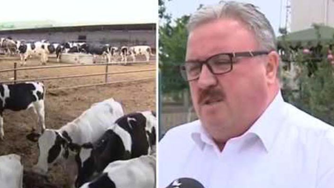 Süt Üreticileri Merkez Birliği Başkanı Keskin'den dikkat çeken USK açıklaması: İstifa ederek neyi ispatlamış olacağız!
