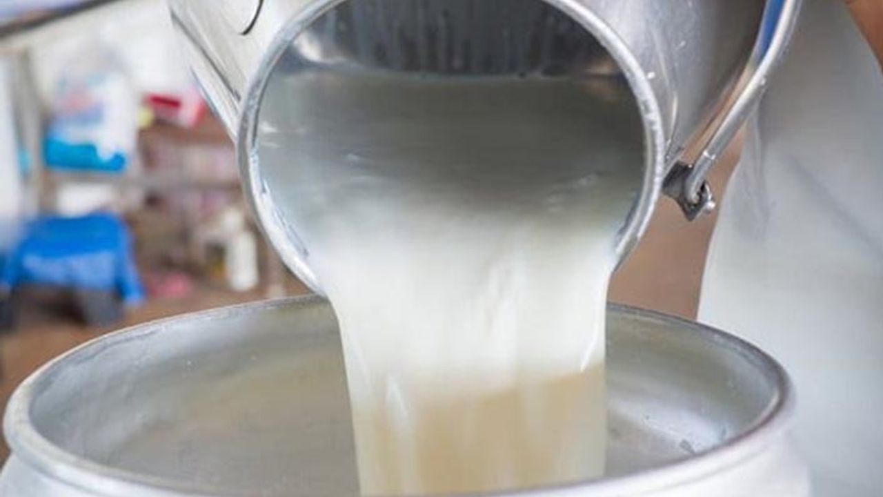 Çiğ süt fiyatı belli oldu üretici yine hayal kırıklığına uğradı!