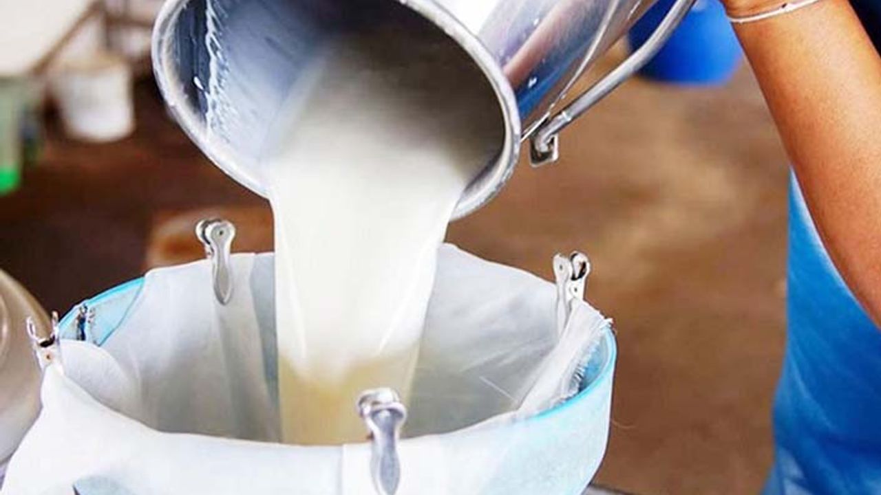Çiğ süt fiyatına 10 kuruş zam! Çiğ süt analizinde hakem kim olacak?