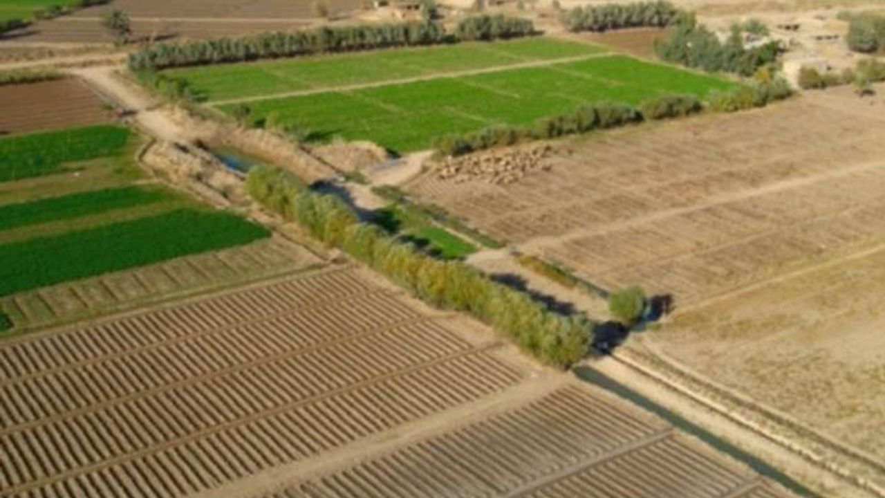Çinli şirketlerden Irak'a tarım yatırımı teklifi