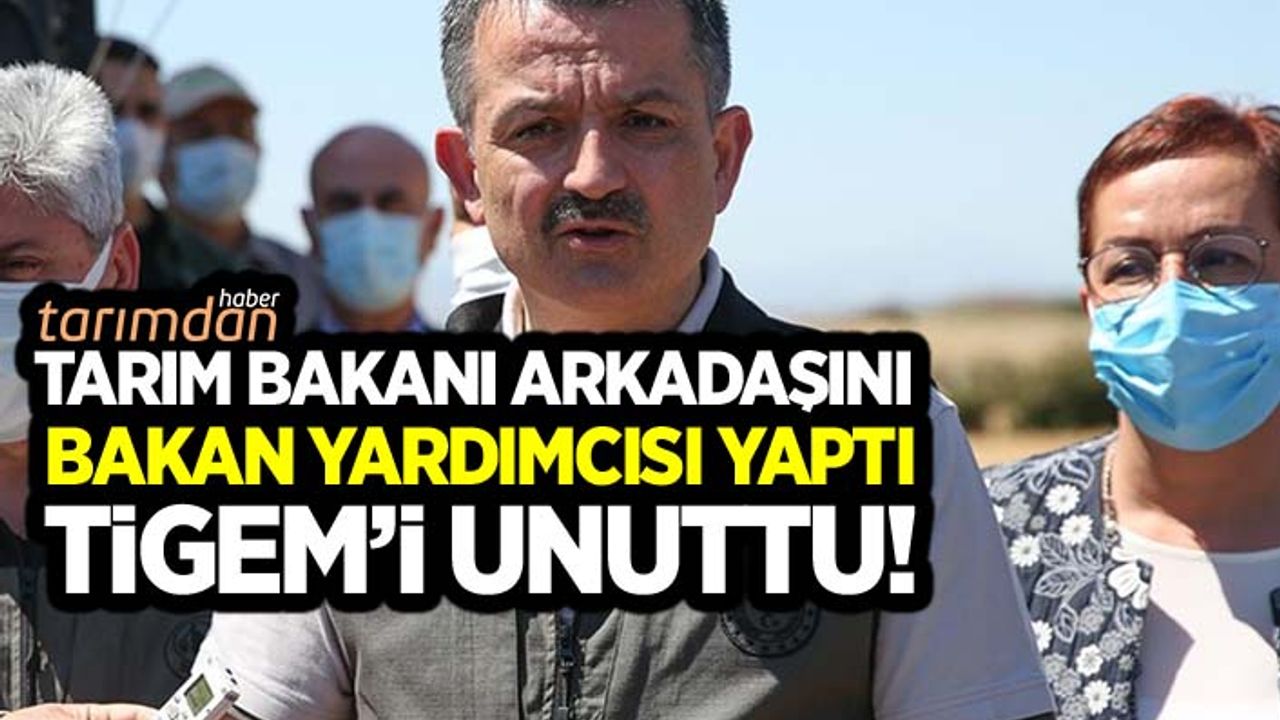 Tarım Bakanı arkadaşını Bakan Yardımcısı yaptı TİGEM’i unuttu! 