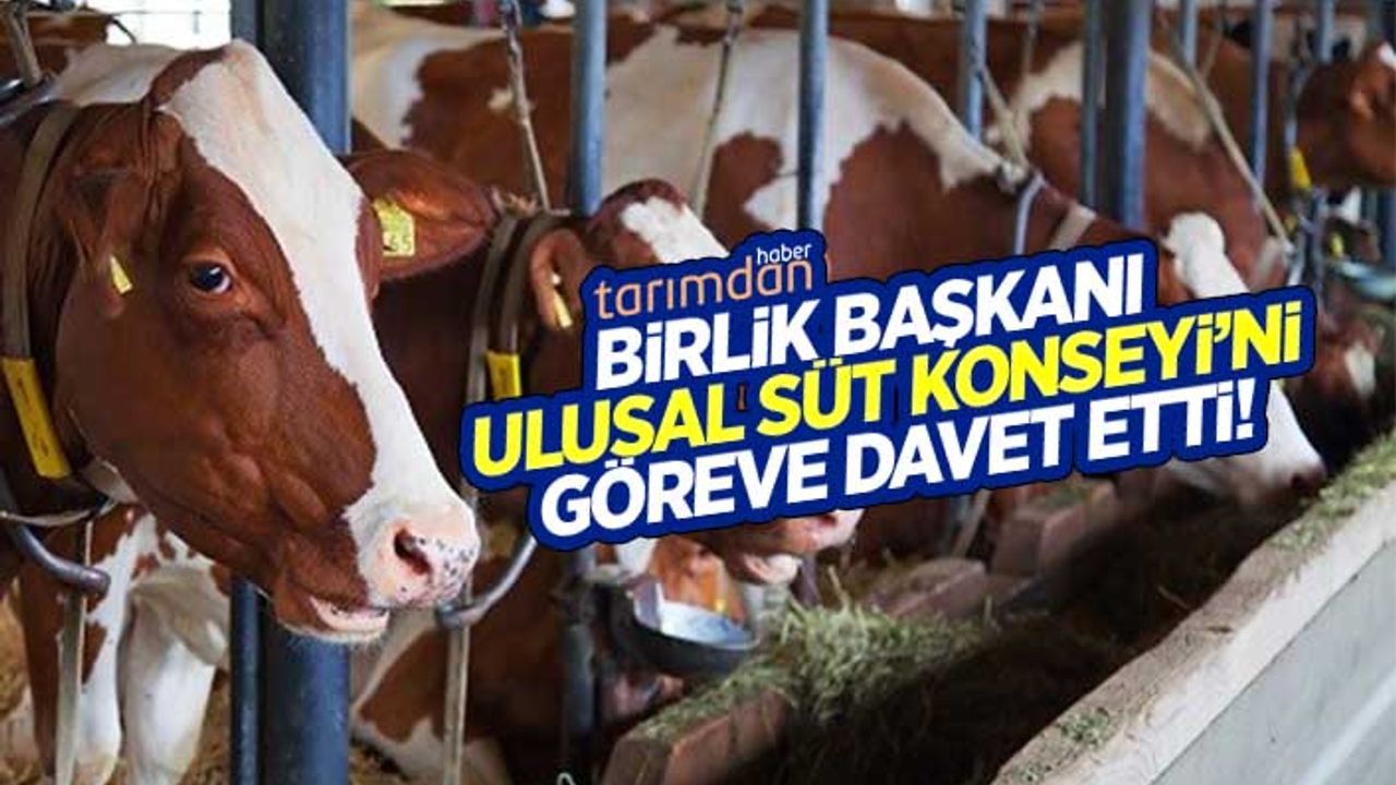 Birlik Başkanı Ulusal Süt Konseyi'ni göreve davet etti!