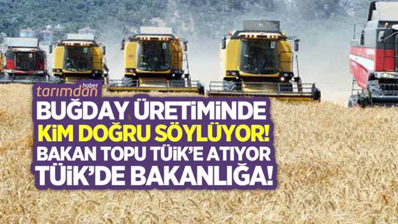 Türkiye'nin gerçek buğday üretim rakamı ne kadar? Bakan topu TÜİK'e atıyor TÜİK de Bakanlığa!