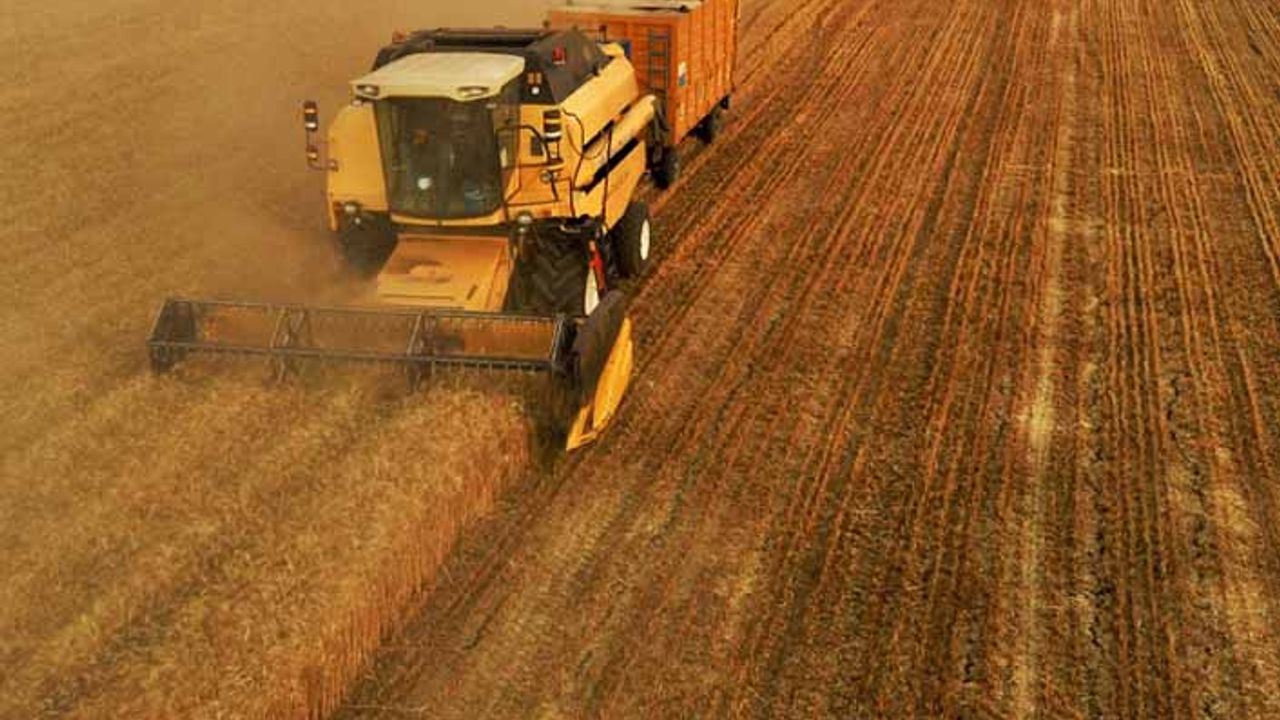 Buğday arpa fiyatı ne kadar oldu? Güncel arpa, buğday, mısır ve yulaf fiyatları (7 Şubat 2022)