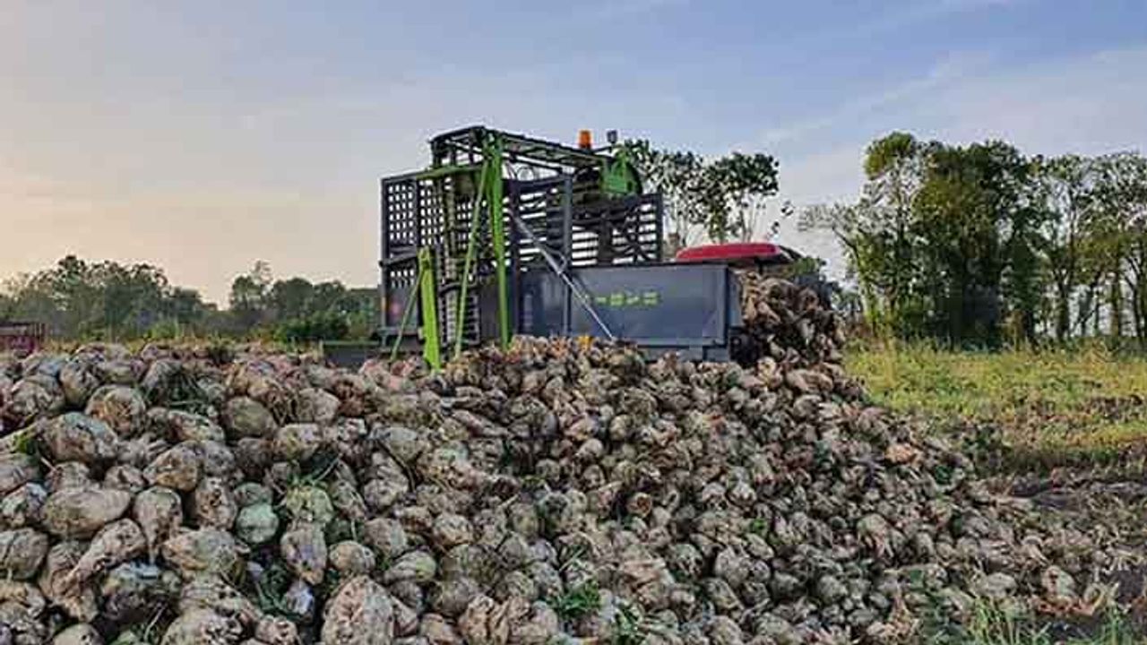 Pancar çiftçisine 55 milyon söküm avansı