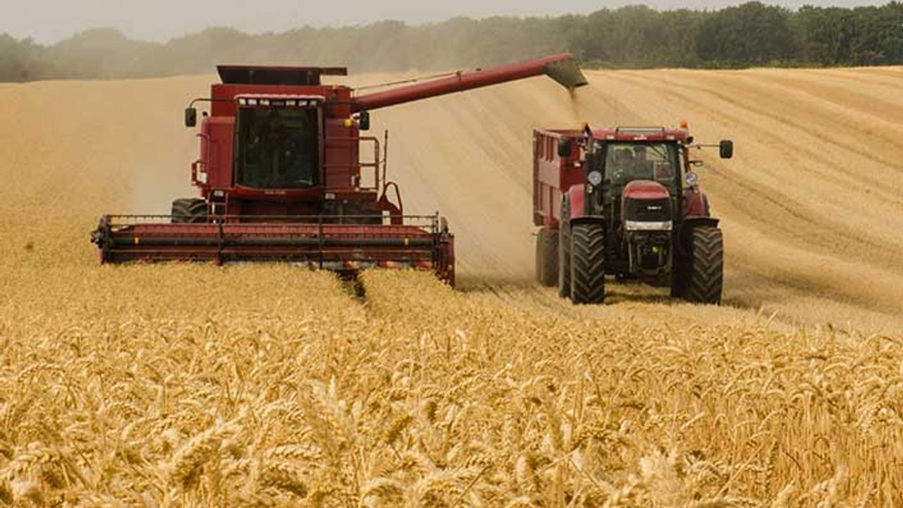 Buğday sabit kaldı arpa yükselmeye devam ediyor! Arpa buğday fiyatları (18 Nisan) kaç lira oldu?