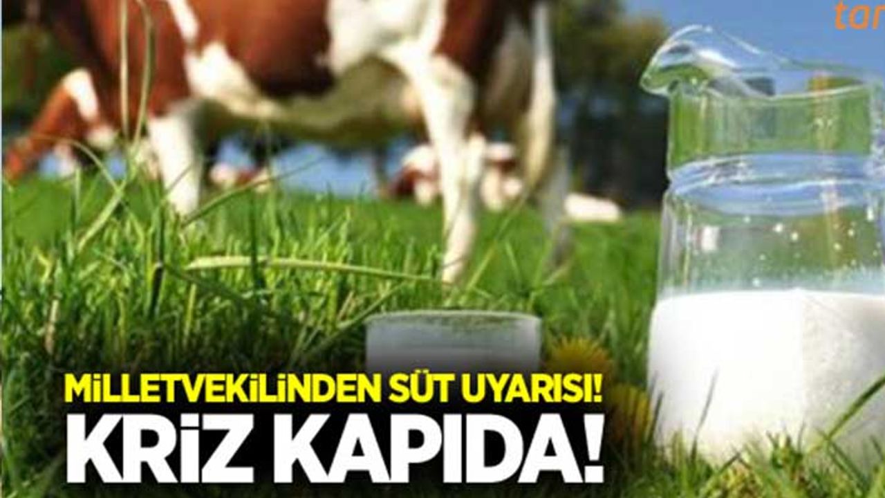 Milletvekilinden süt krizi uyarısı!