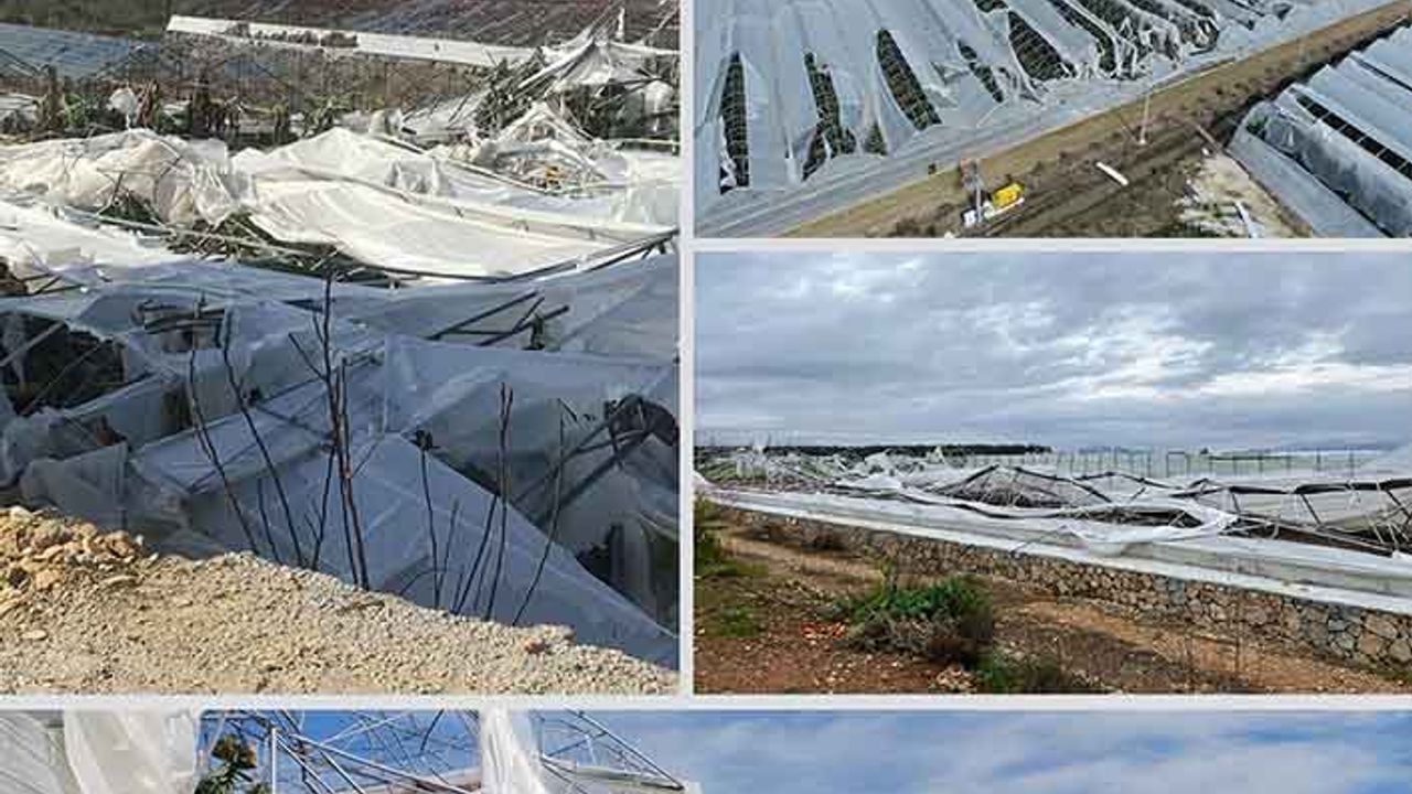 TARSİM’den Antalya’da doğal afetten etkilenen çiftçilerle ilgili