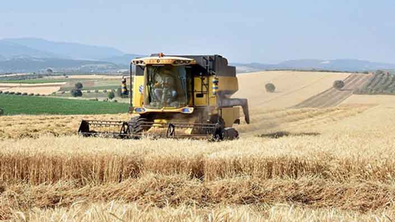 TMO'nun ekmeklik buğday ithalat ihalesi sonuçlandı! İthal buğday fiyatları TMO'nun alım fiyatını nasıl etkileyecek?
