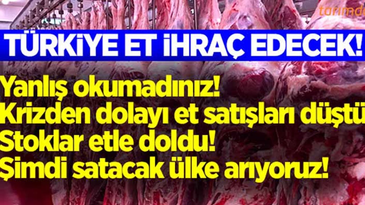 Türkiye et ihracatına hazırlanıyor!
