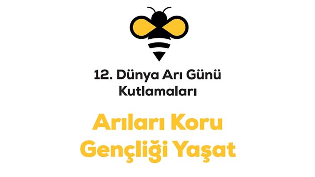 Arıcılar 20 Mayıs'a hazırlanıyor! Dünya Arı Günü kutlamaları bu yıl Tokat'ta yapılacak!