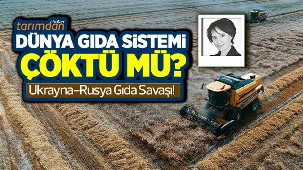 Dünya gıda sistemi çöktü mü? Ukrayna-Rusya gıda savaşı!