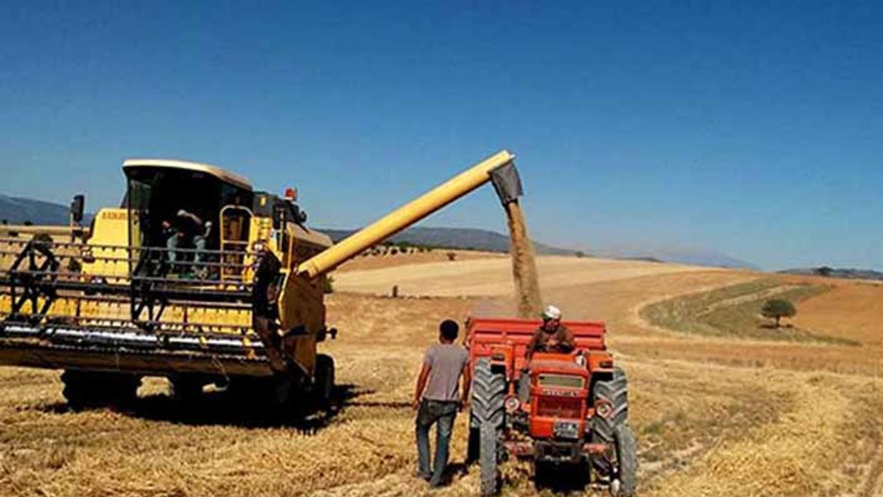 Hangi bölgede buğday rekoltesi artacak hangi bölgede düşecek? İş bölgelere göre buğday rekolte tahminleri