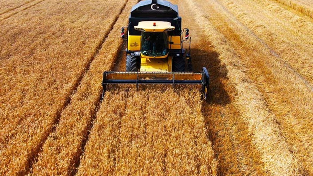 TMO buğday alım fiyatı belli oldu mu? Buğday taban fiyatı kaç lira olacak? İşte gündemdeki buğday alım fiyatı ile ilgili senaryolar
