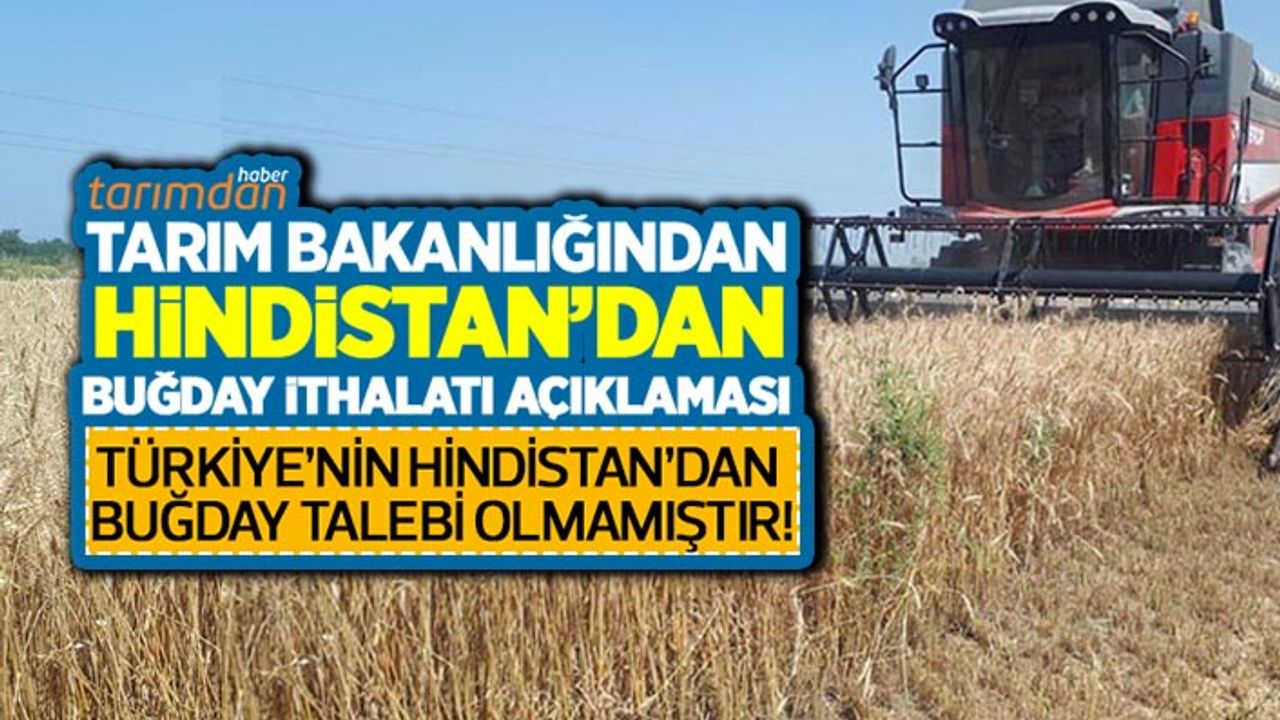 Türkiye Hindistan'dan buğday ithal ediyor mu? Tarım Bakanlığı'ndan Hindistan buğday ithalatı açıklaması!