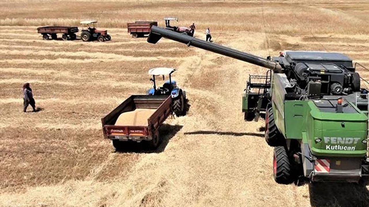 Antalya'da buğday hasadı buruk başladı! Çiftçi ÖTV'siz mazot istiyor!