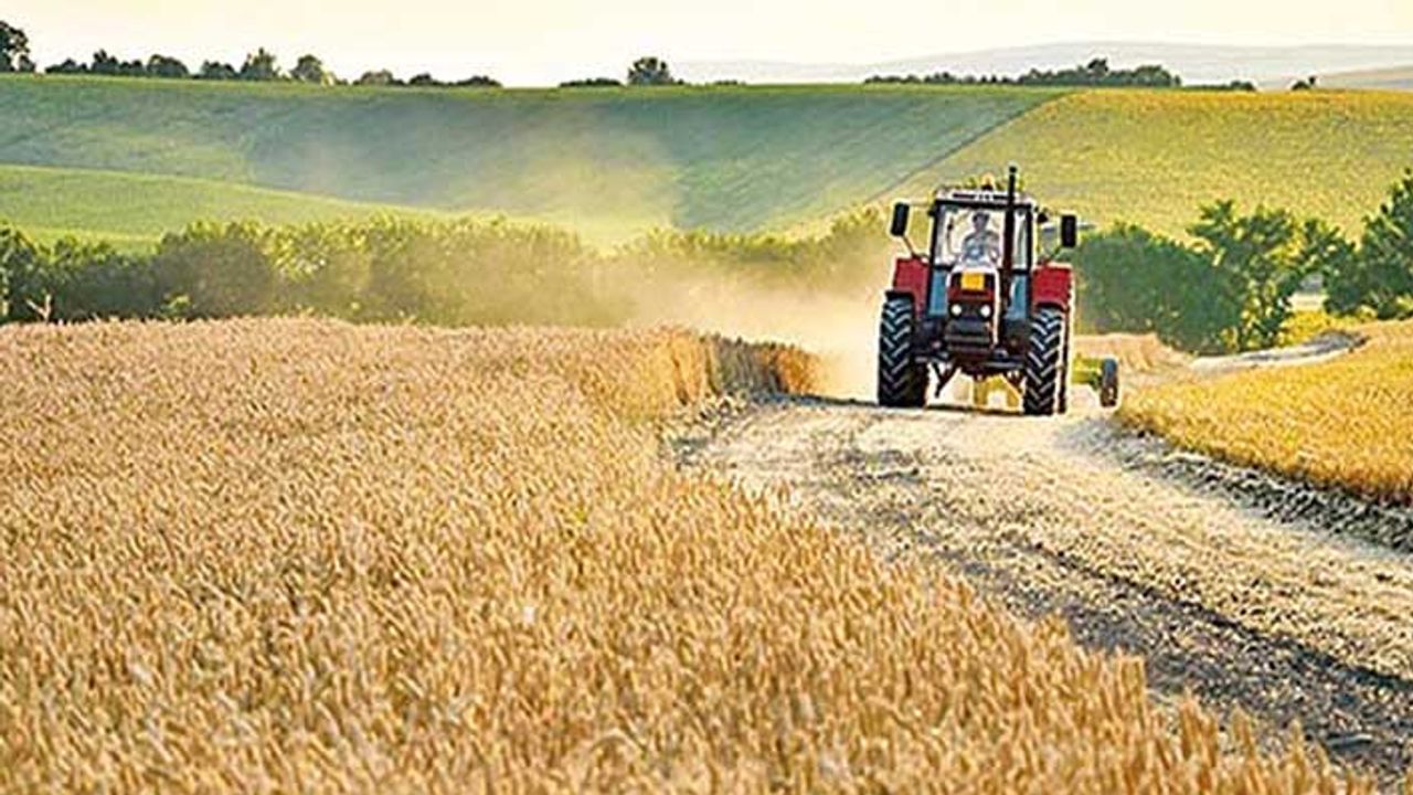 Çiftçinin dikkatine! Buğday arpa fiyatları bugün kaç lira? Polatlı, Konya, Gaziantep ve Edirne Ticaret Borsa fiyatları (16 Haziran)