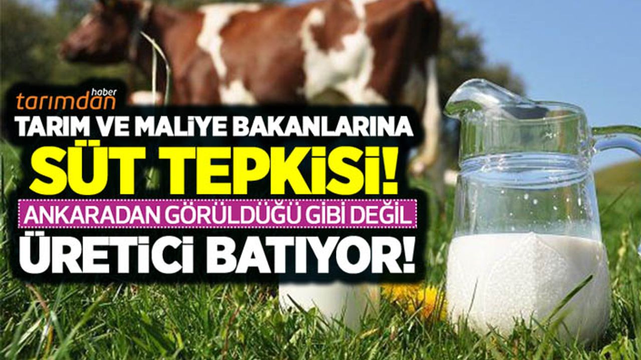 Tarım ve Maliye Bakanlarına süt tepkisi: Ankara'dan görüldüğü gibi değil üretici batıyor!