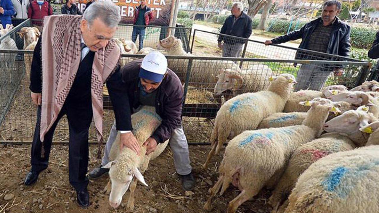İzmir tarım ve hayvancılıkta gelişiyor