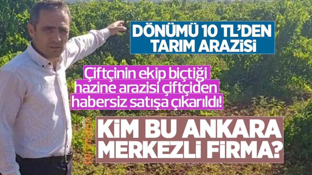 Çiftçinin ekip biçtiği hazine arazisi çiftçiden habersiz satışa çıkarıldı! Kim bu Ankara merkezli firma?