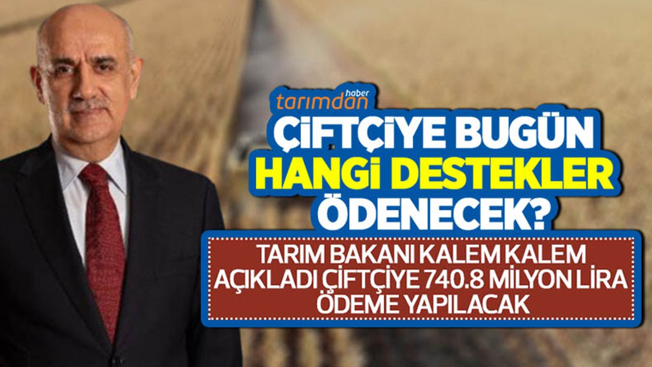 Tarım Bakanı Kirişçi’den tarımsal destek ödemesi açıklaması! Çiftçiye 13 kalemde 740.8 milyon lira ödeme yapılacak!
